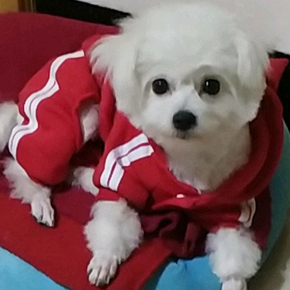 芳