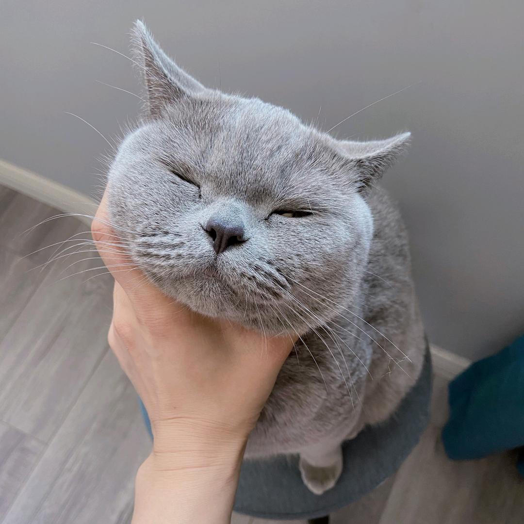 毛蛋儿和她的爸比