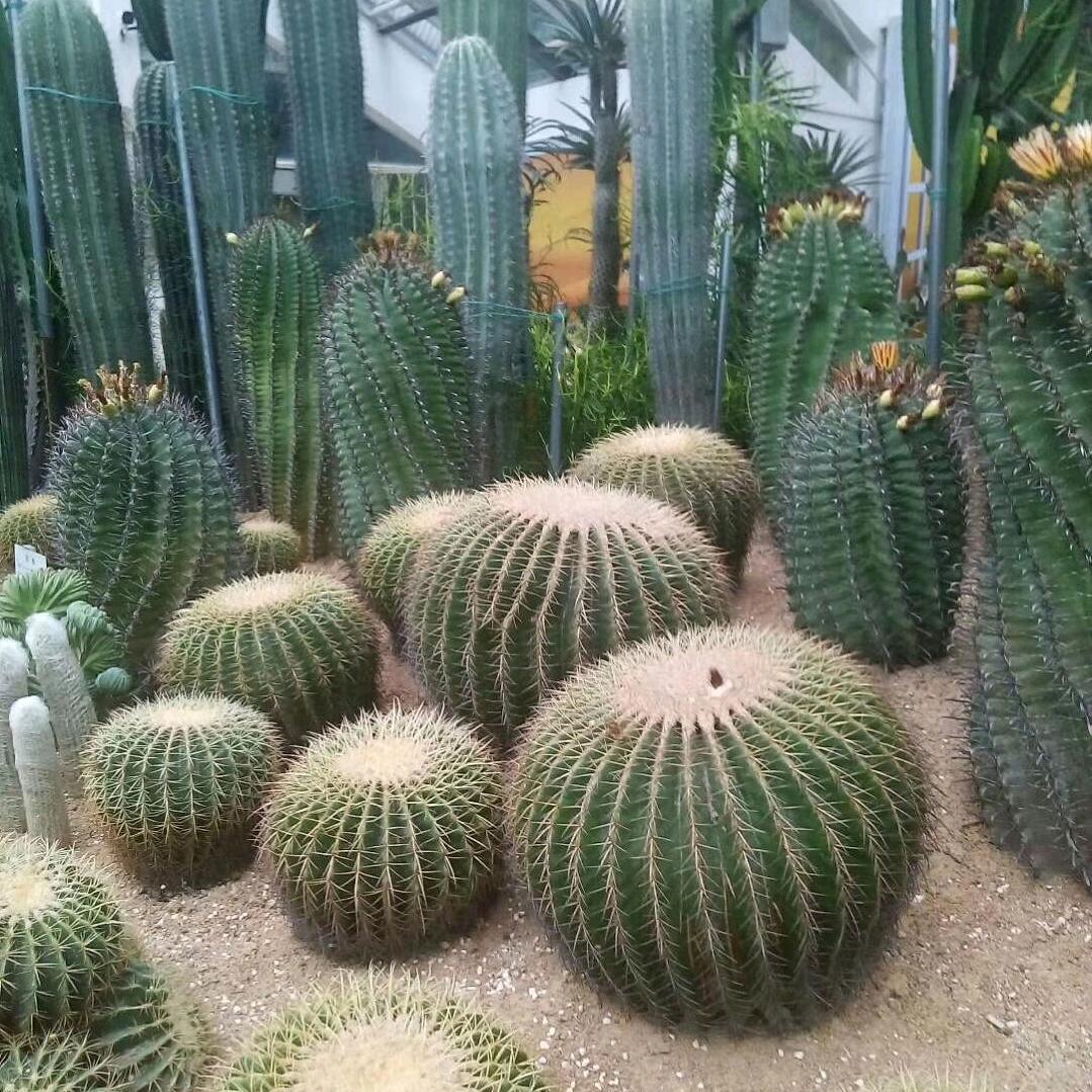 和和睦睦