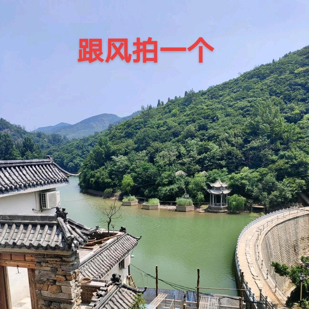 勿忘我