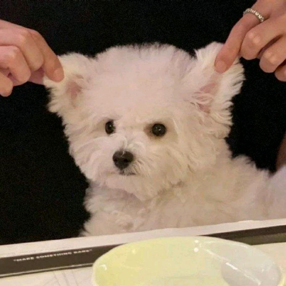 。