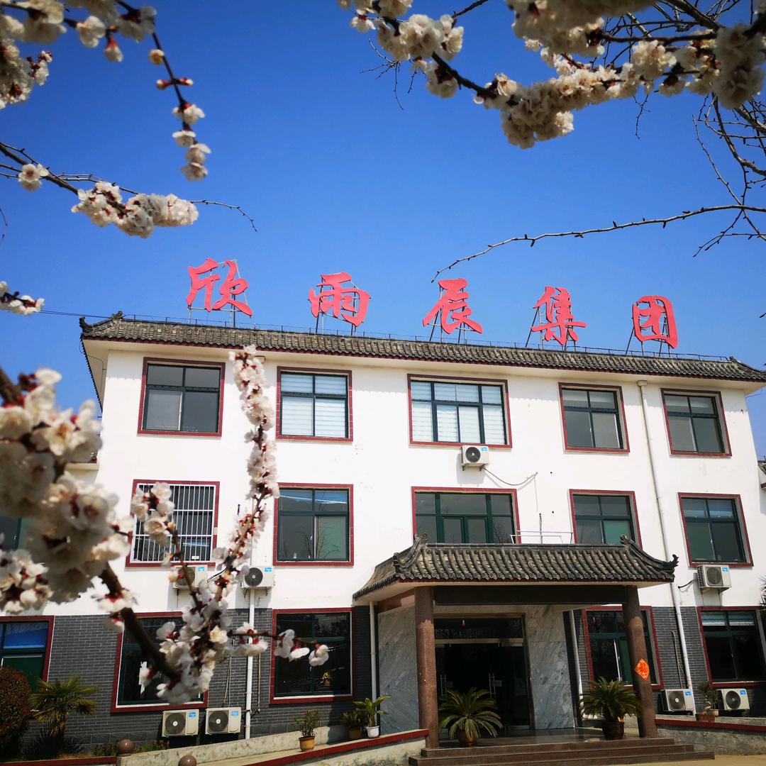 欣雨辰医疗无影灯手术床吊塔王经理🇨🇳