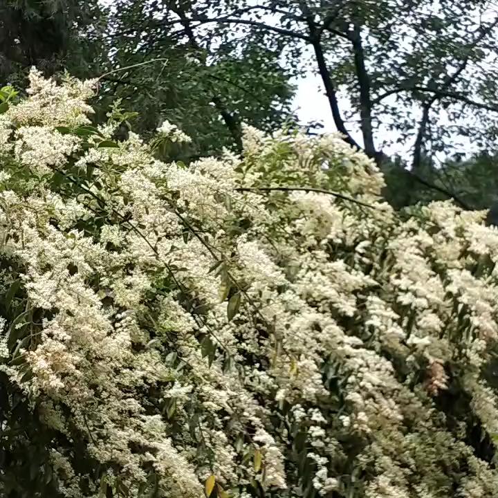 吃不完的苦、流不完的泪