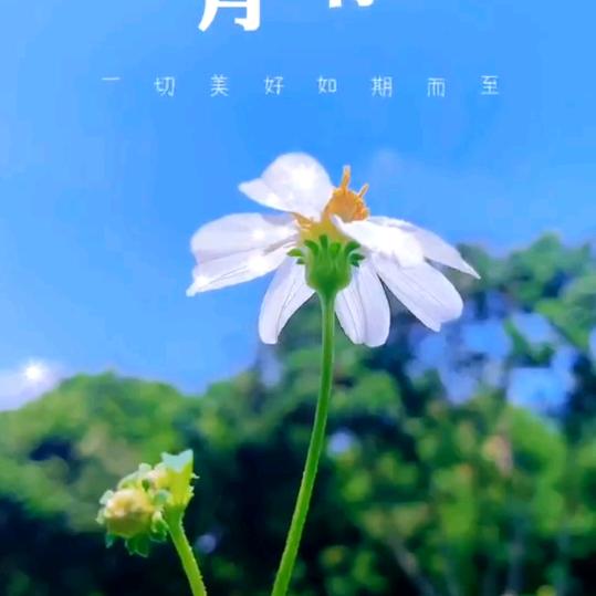 未来、星辰大海