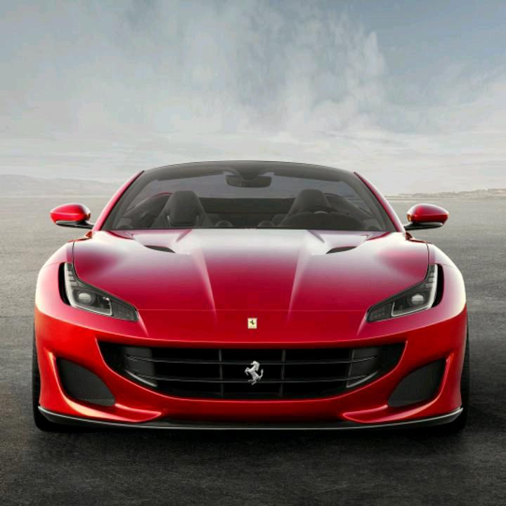 …… 国 哥🐇⁷¹⁸