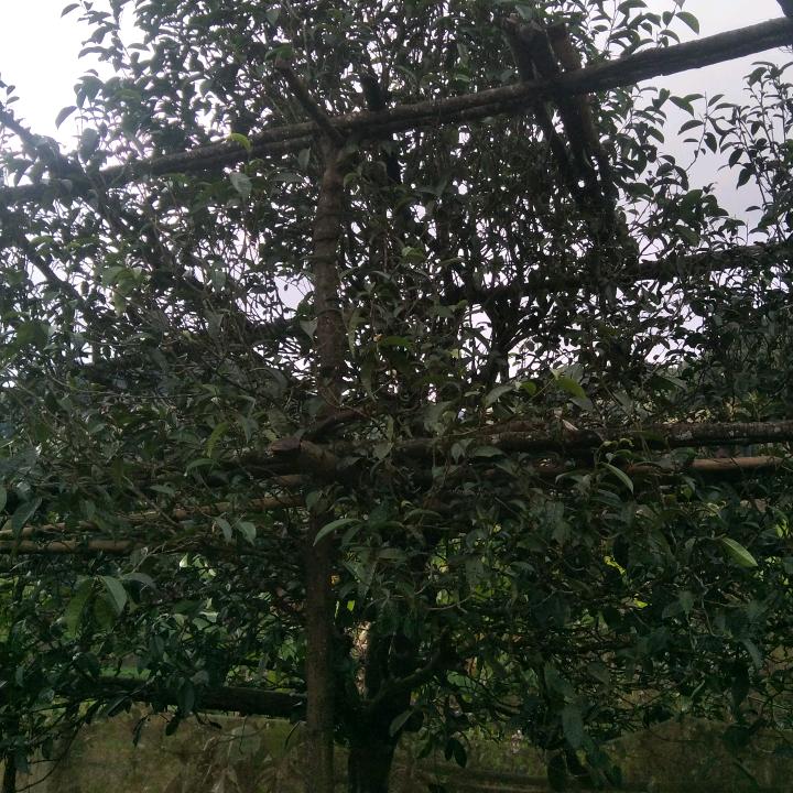 奋斗吧！小青年