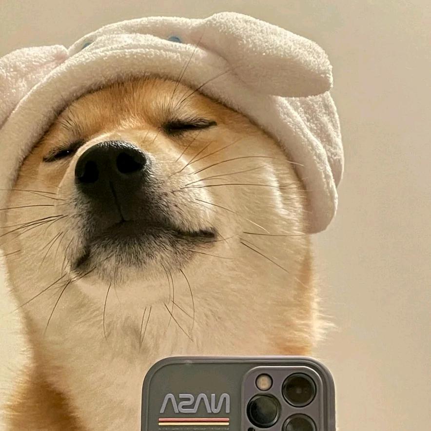 洒脱