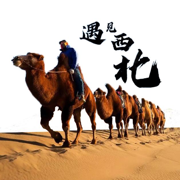 遇见西北