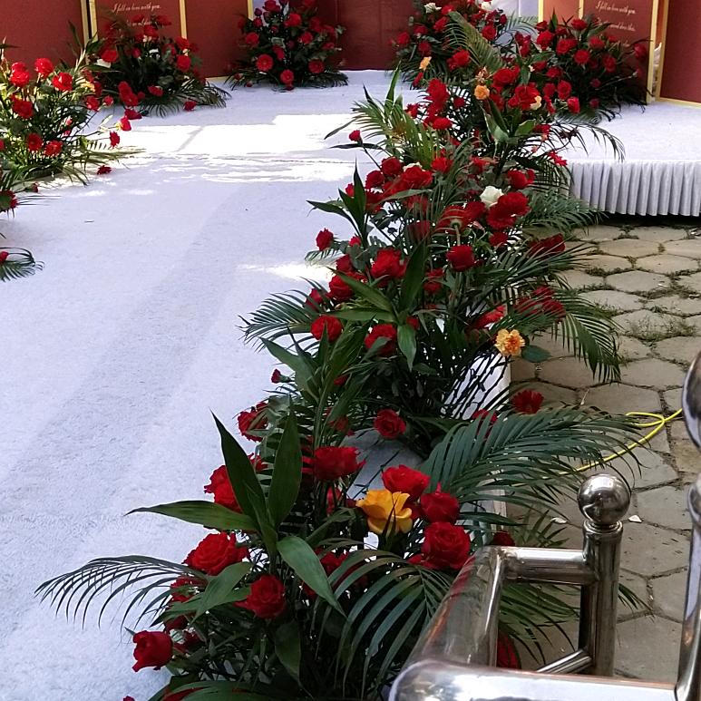 余生(ღ˘⌣˘ღ)安好