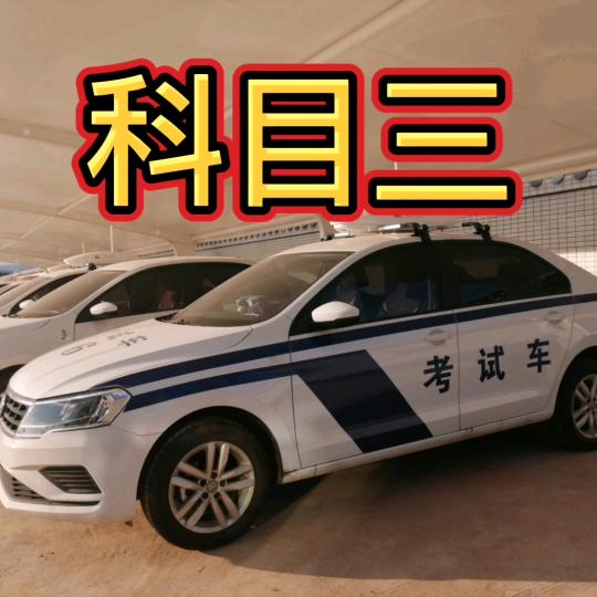 驾考刘教练