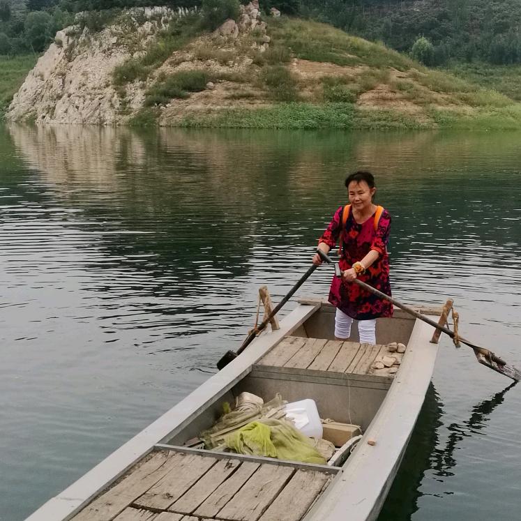 豆粒姐（原创）