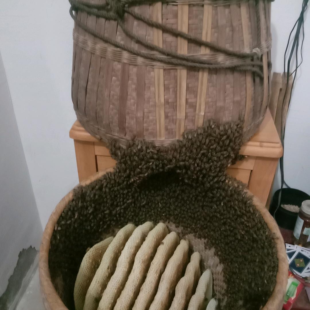 八卦～称称