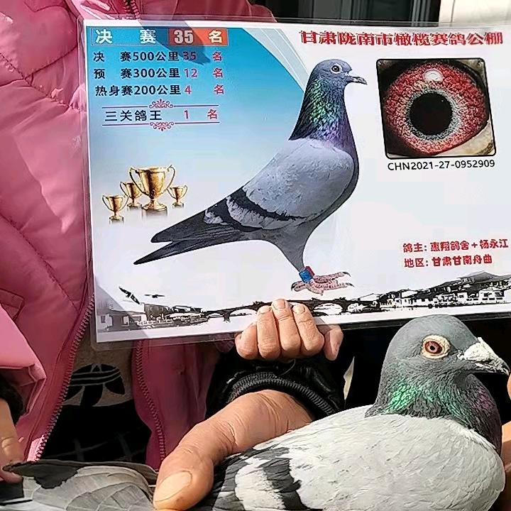 自在飞花轻似梦