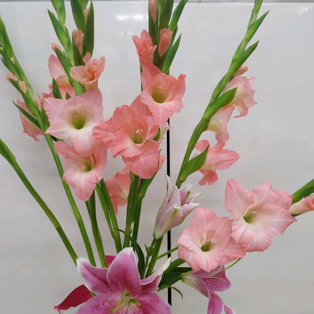 @随缘一切美好！