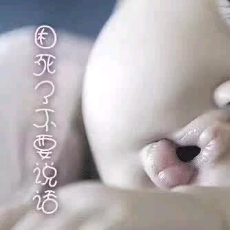 随他去！