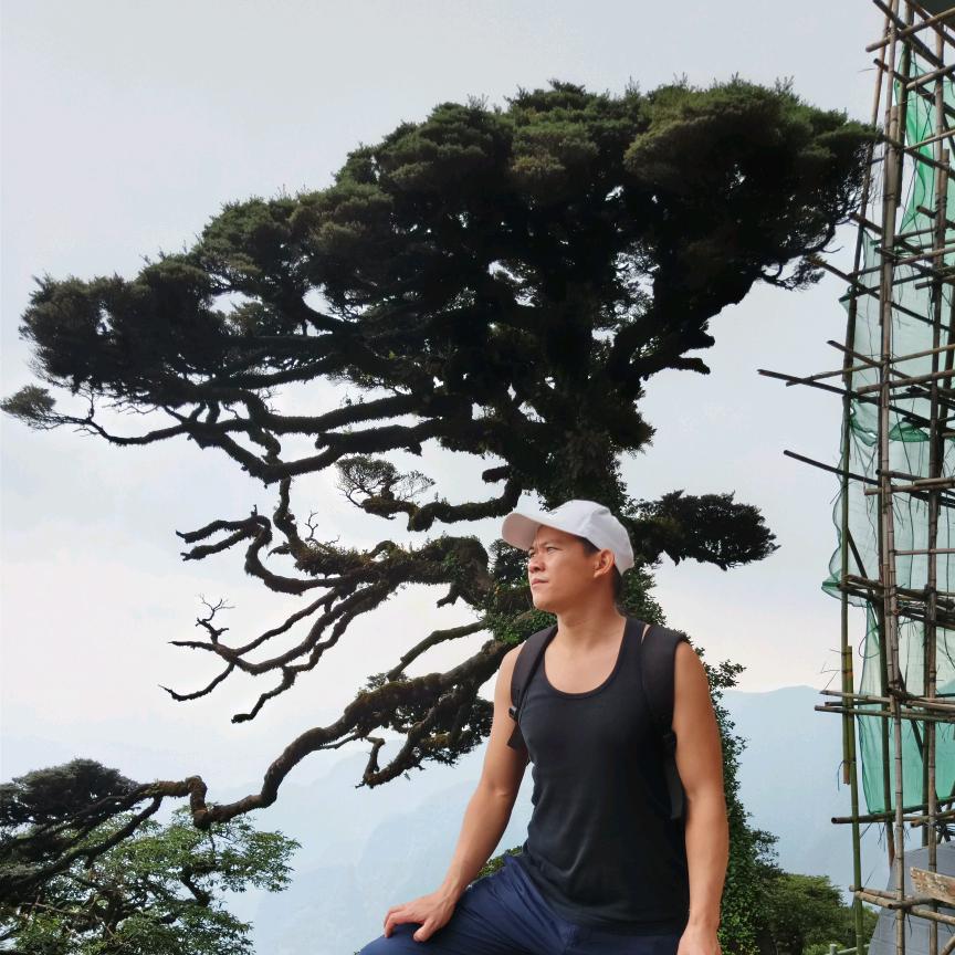 鲁