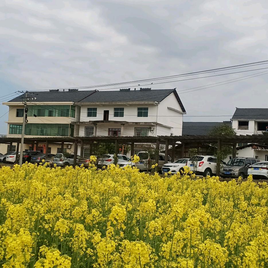 阿琴