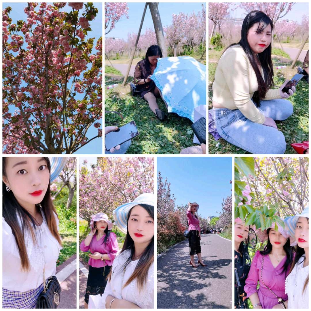 🐾ꦿᩚ᭄淡໌້ᮨ忘ꦿꨪ҉