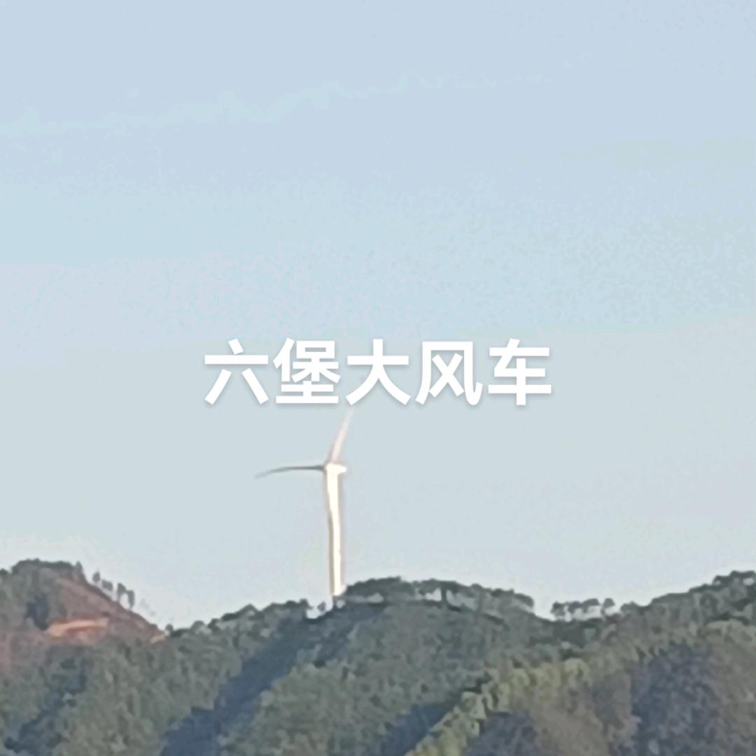 小鸟依人