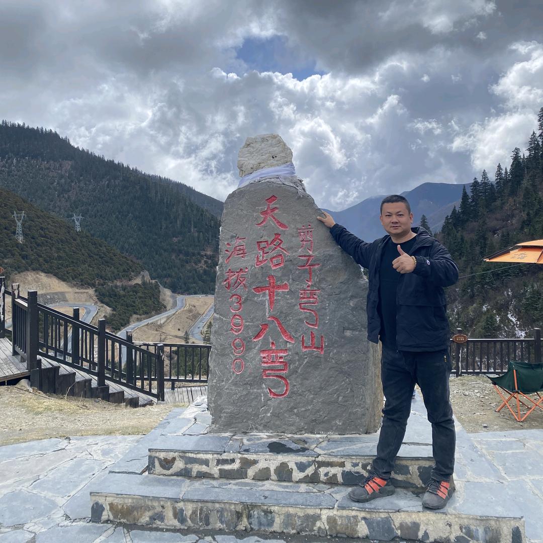 喜欢旅行的狗