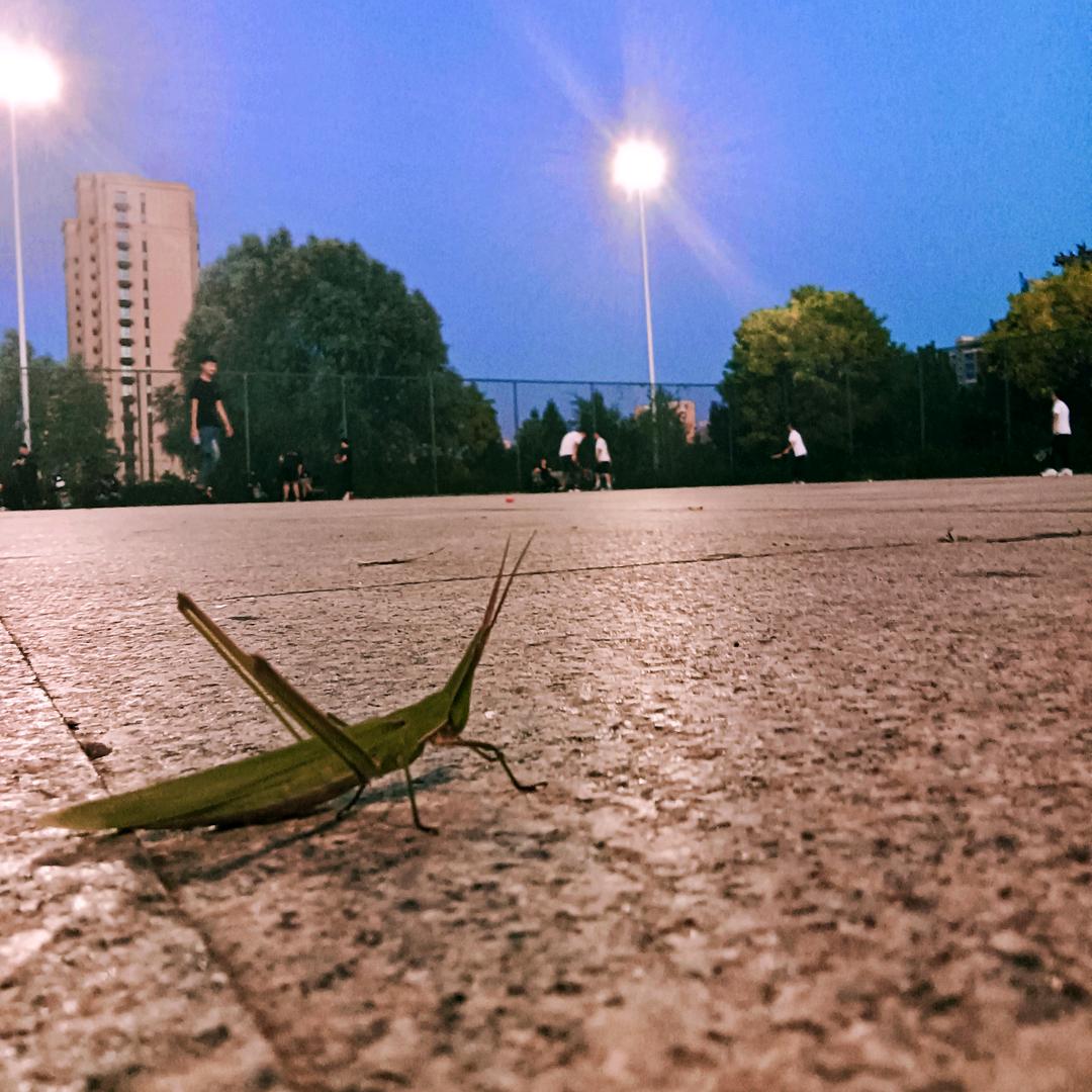 陈起亮