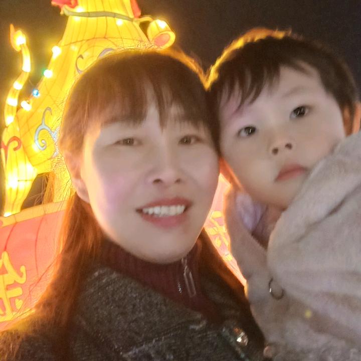 台铃 隆鑫 五羊 电动车