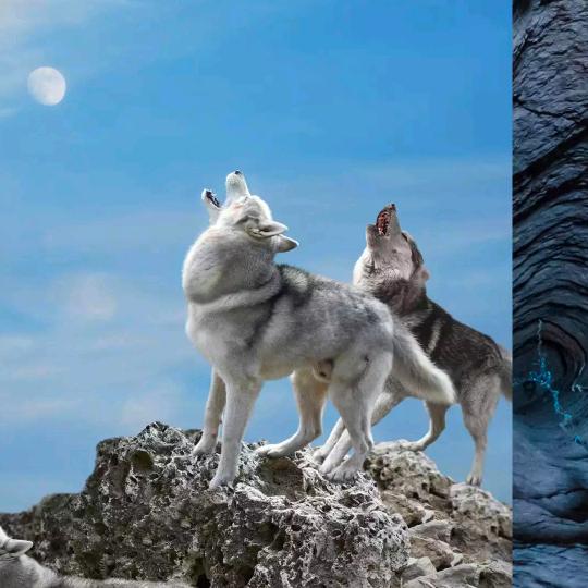 占保…管网施工