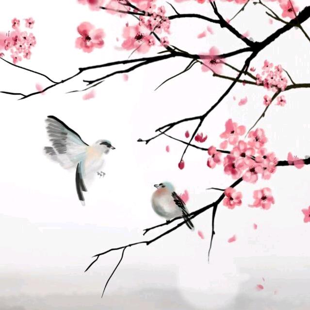 辉煌