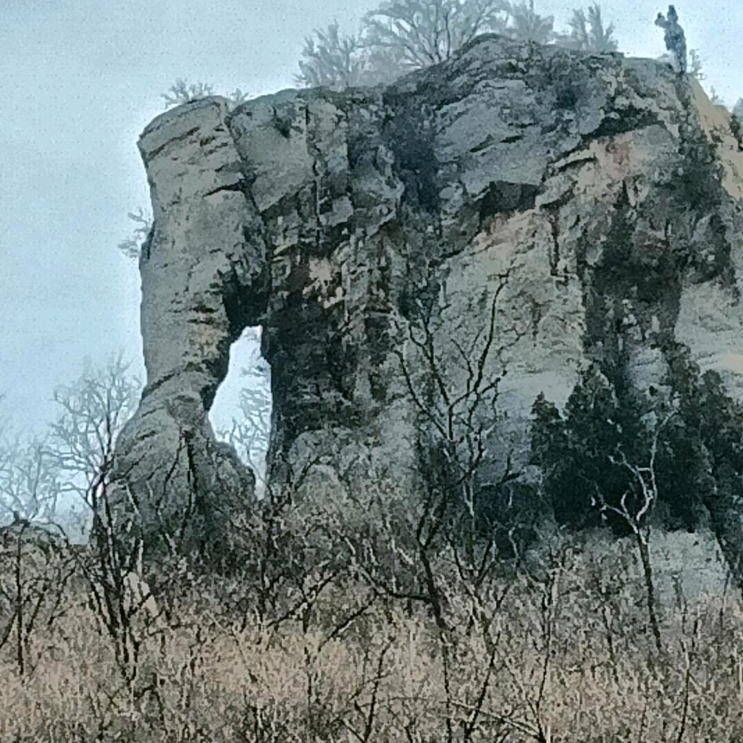 新哥