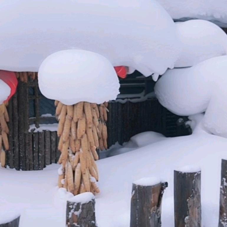 带着蚂蚁逛超市🐜