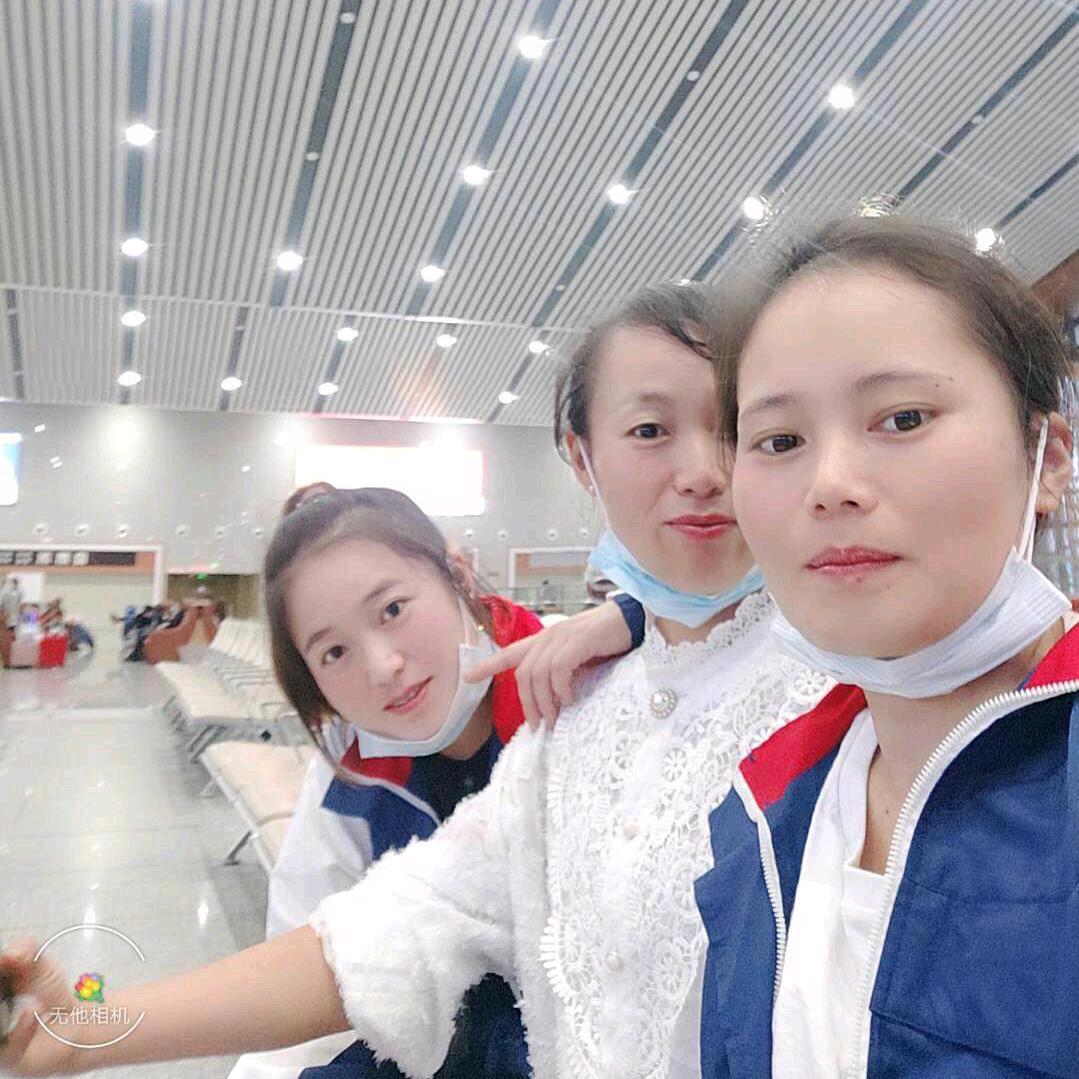 🐷卜聽話?