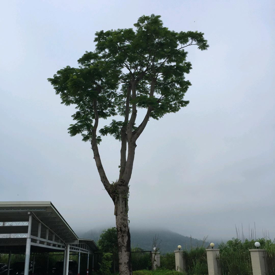 韩先生☺️☺️