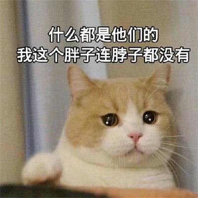八戒有啤酒肚
