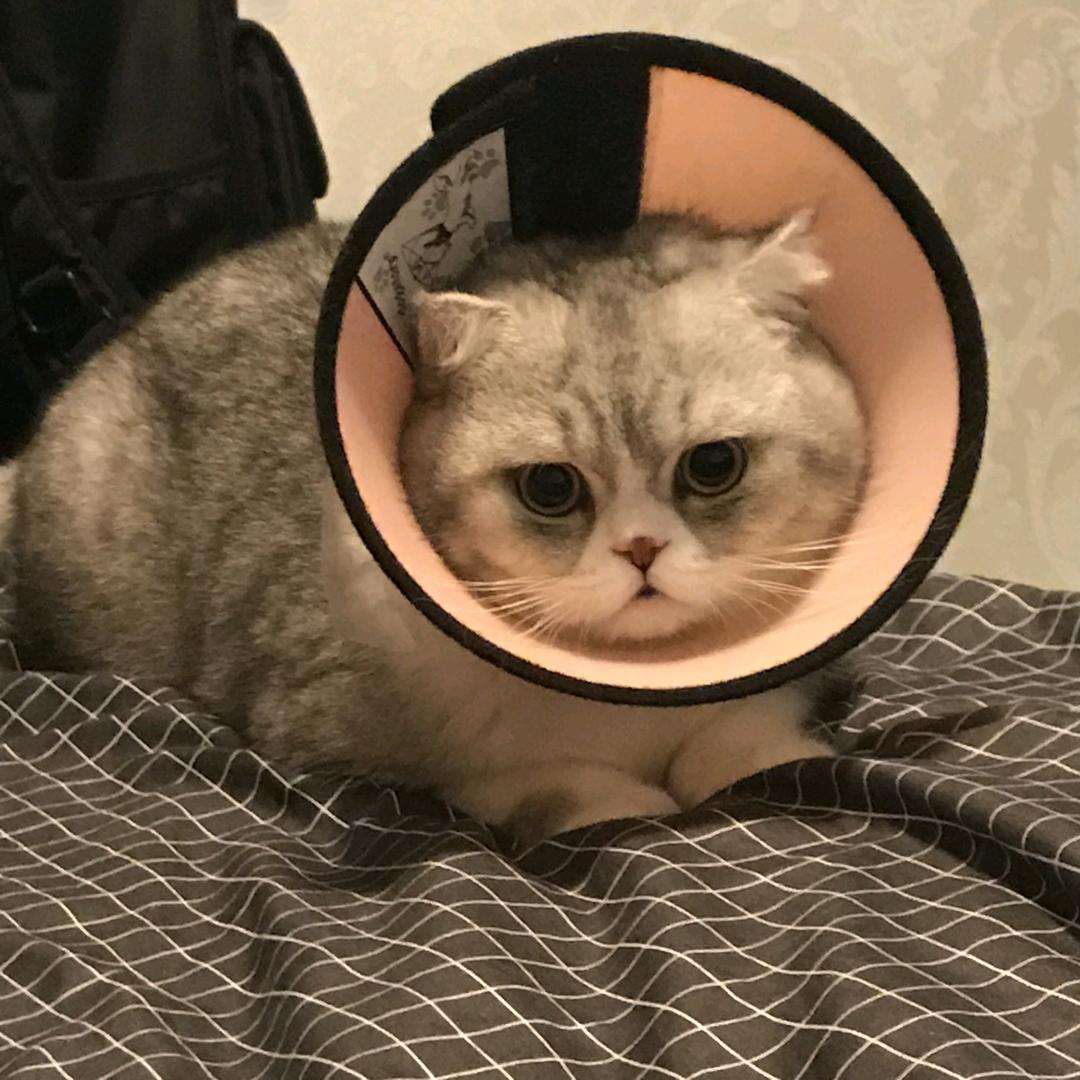 伤心的云