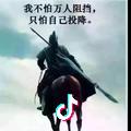 大飞鱼粉