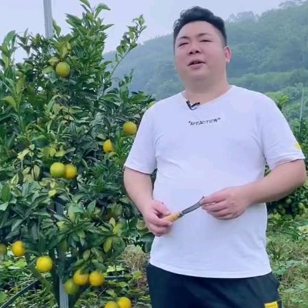 胖墩哥鲜生