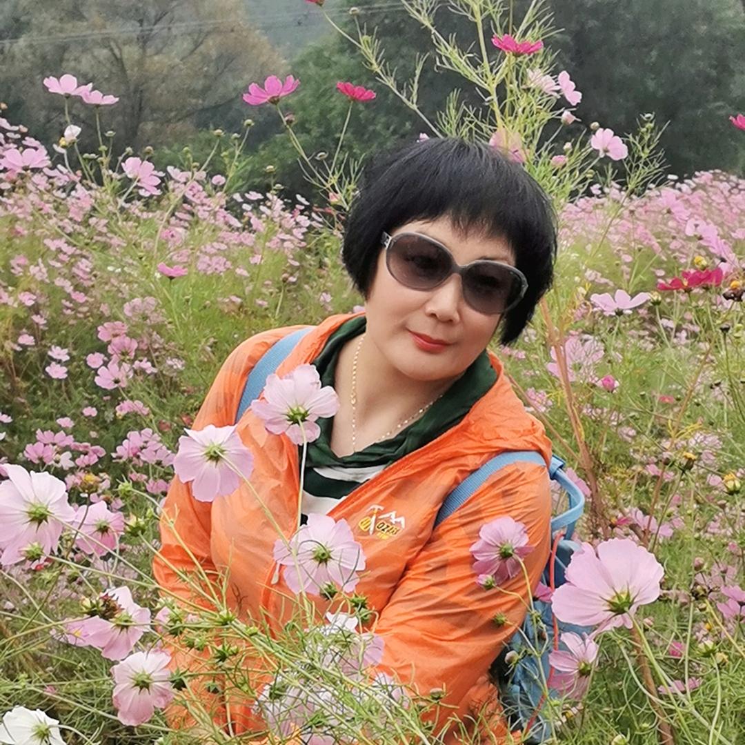 摩西的旅行日记