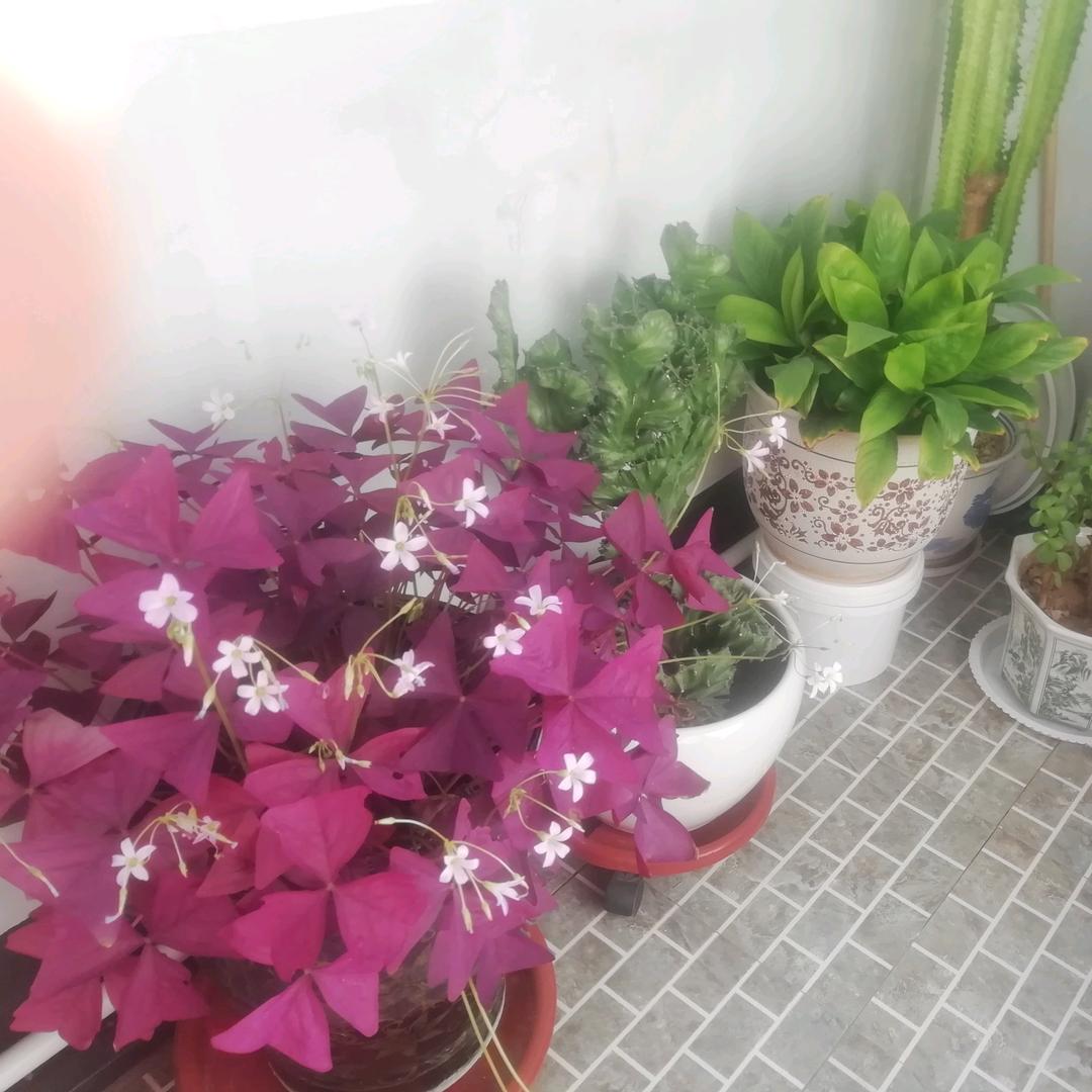 暖心❤️