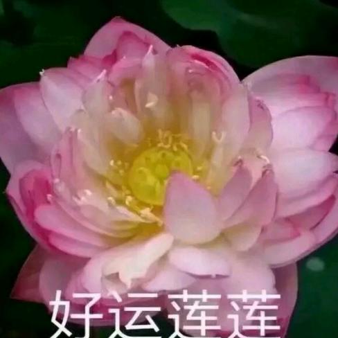 爱错一生