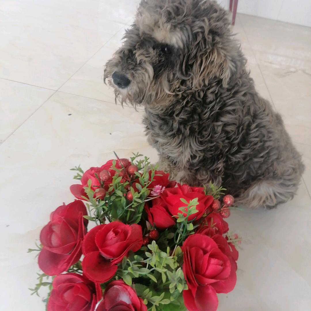 《水泊梁山军乐鼓舞队的》群子