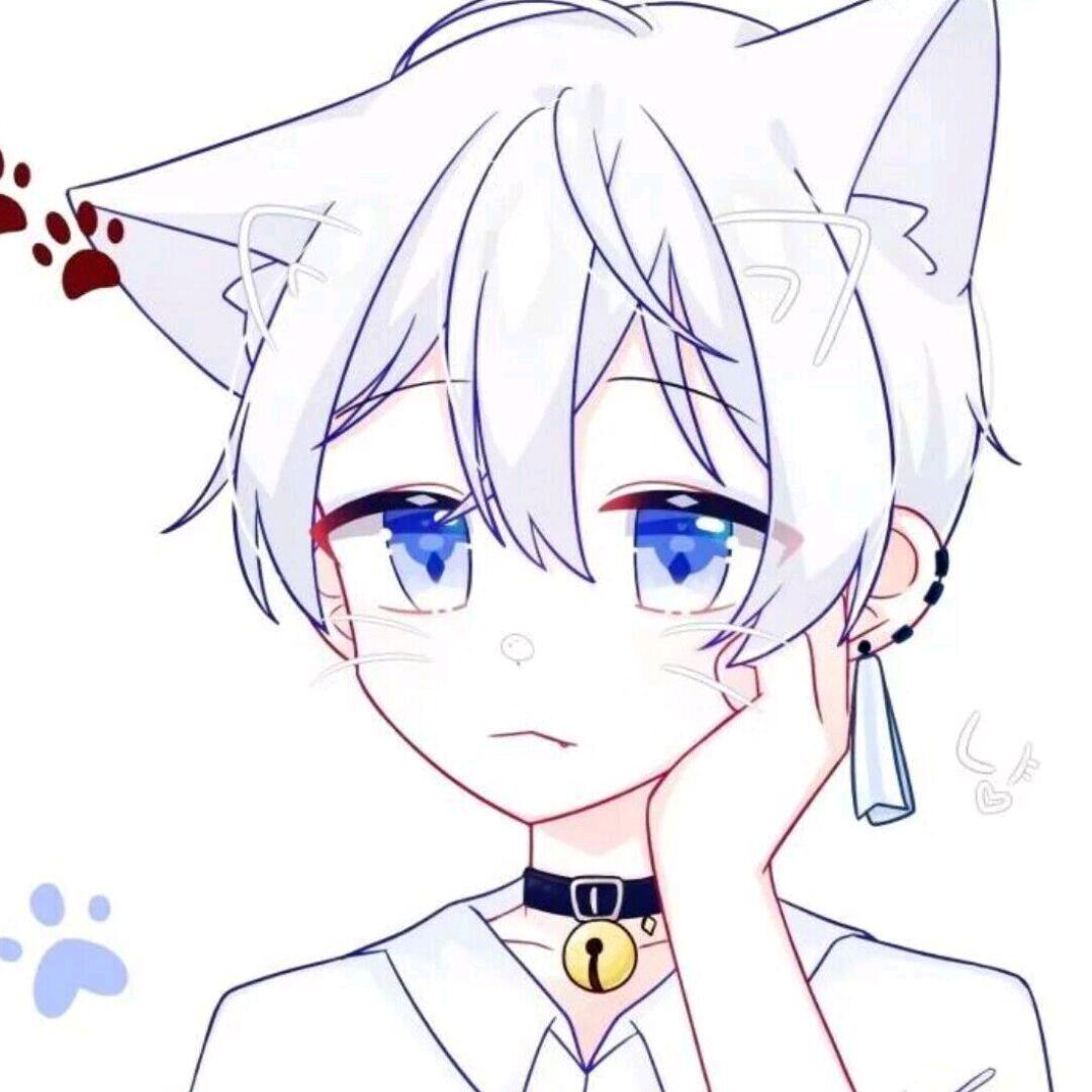 木木