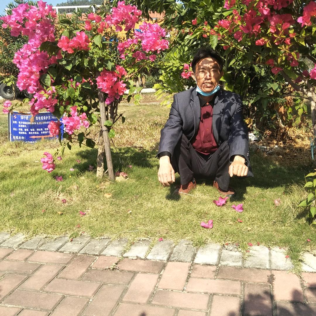 谢德华