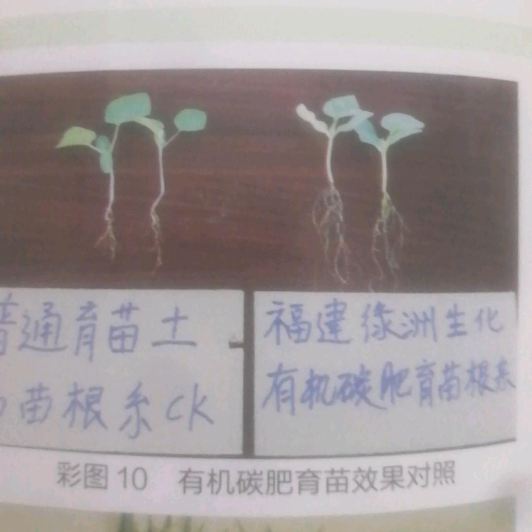 全鱼液原浆（菌酶协同技术推广）