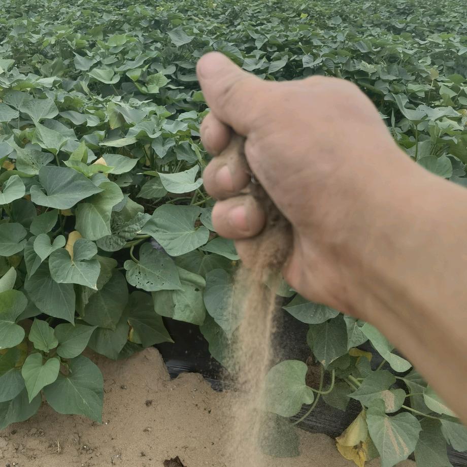 小建带你看产地