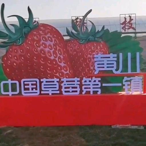 孔氏黄川草莓批发交易中心
