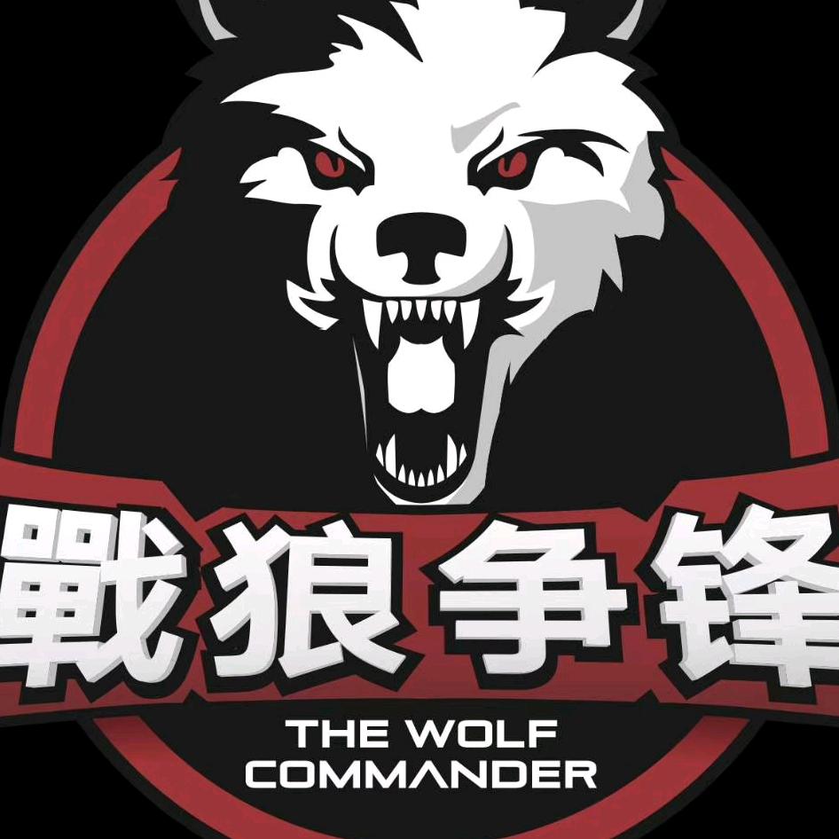 战狼搏击形象店