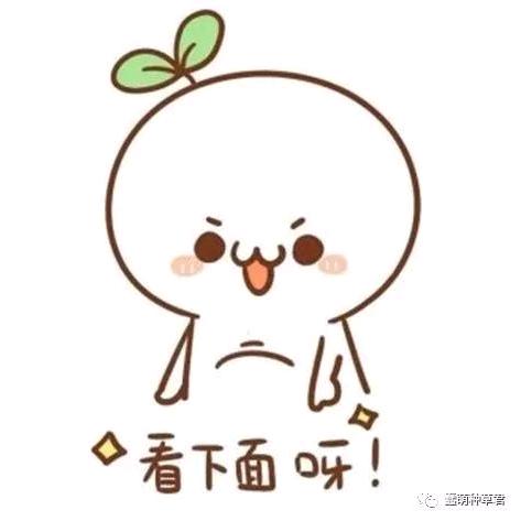 巧巧-好物推荐