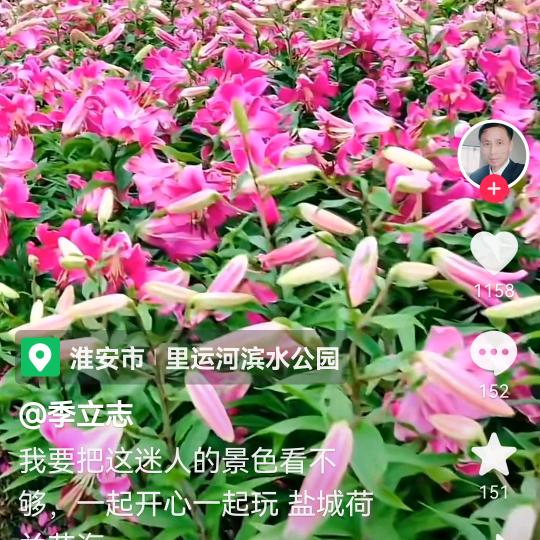 一叶一菩提