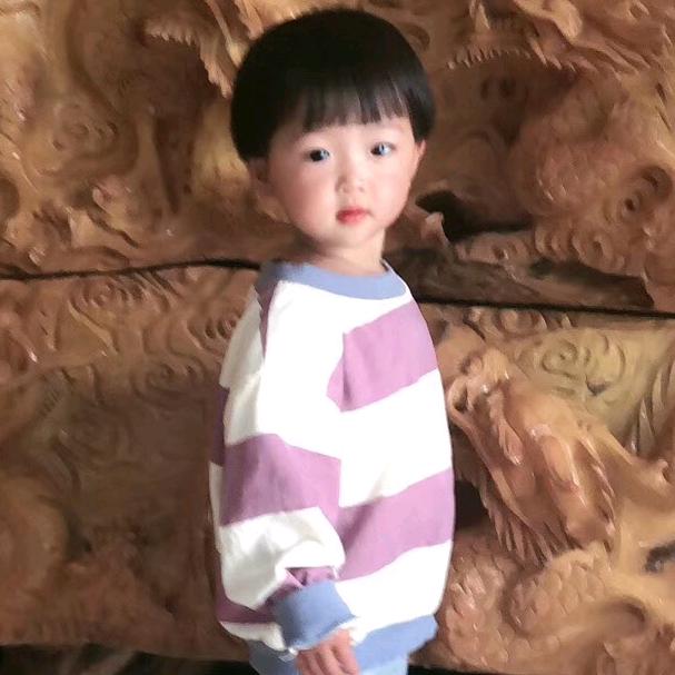 腾冲市明光纯雾茶业