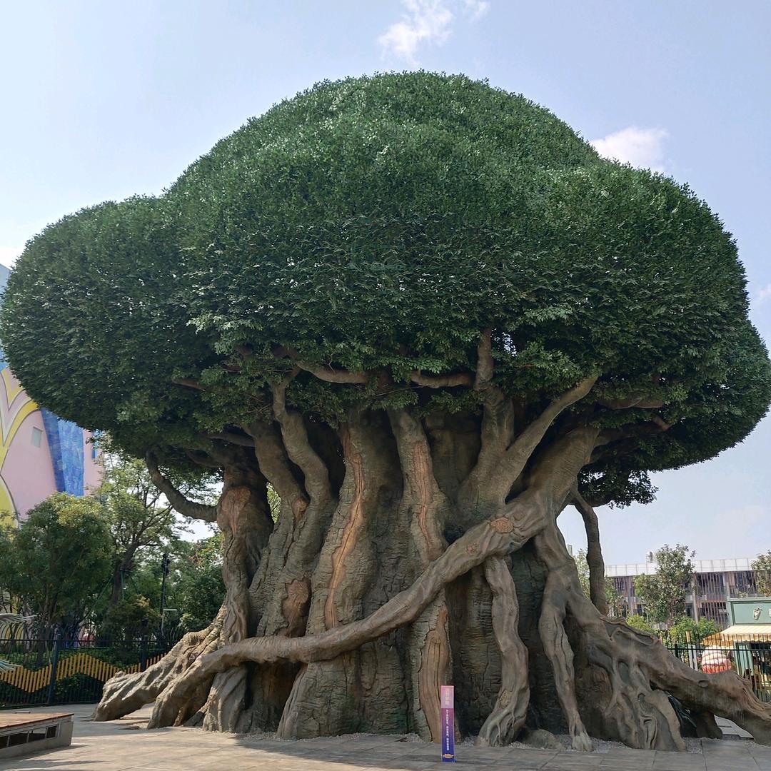烦恼全吴